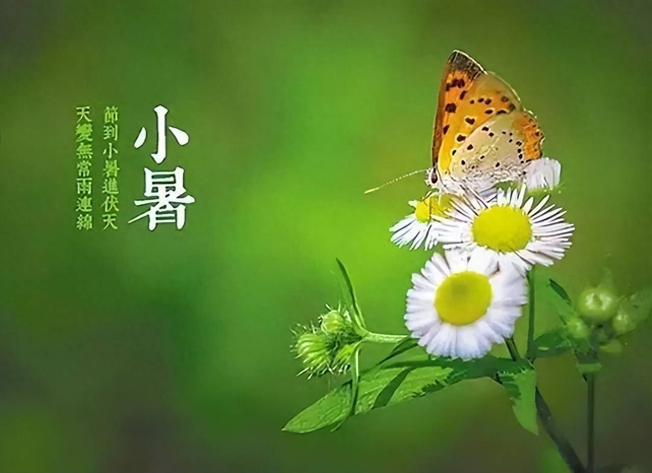 文章配图-1