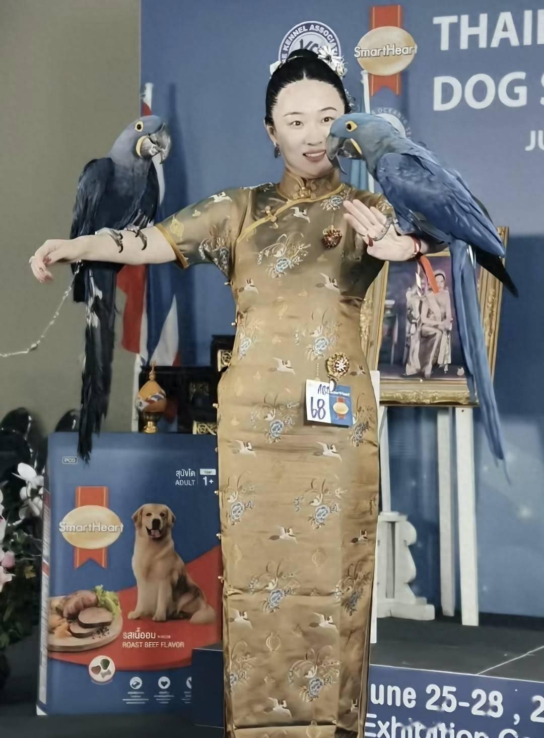 文章配图-1