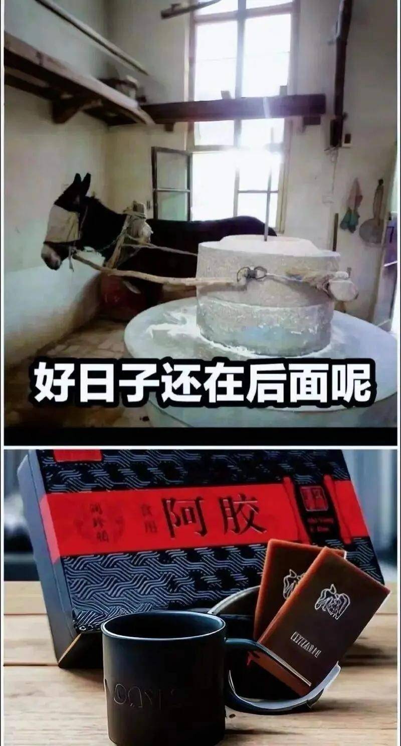 印度果链现状况致苹果遇麻烦,中国产iPhone18或更具优势