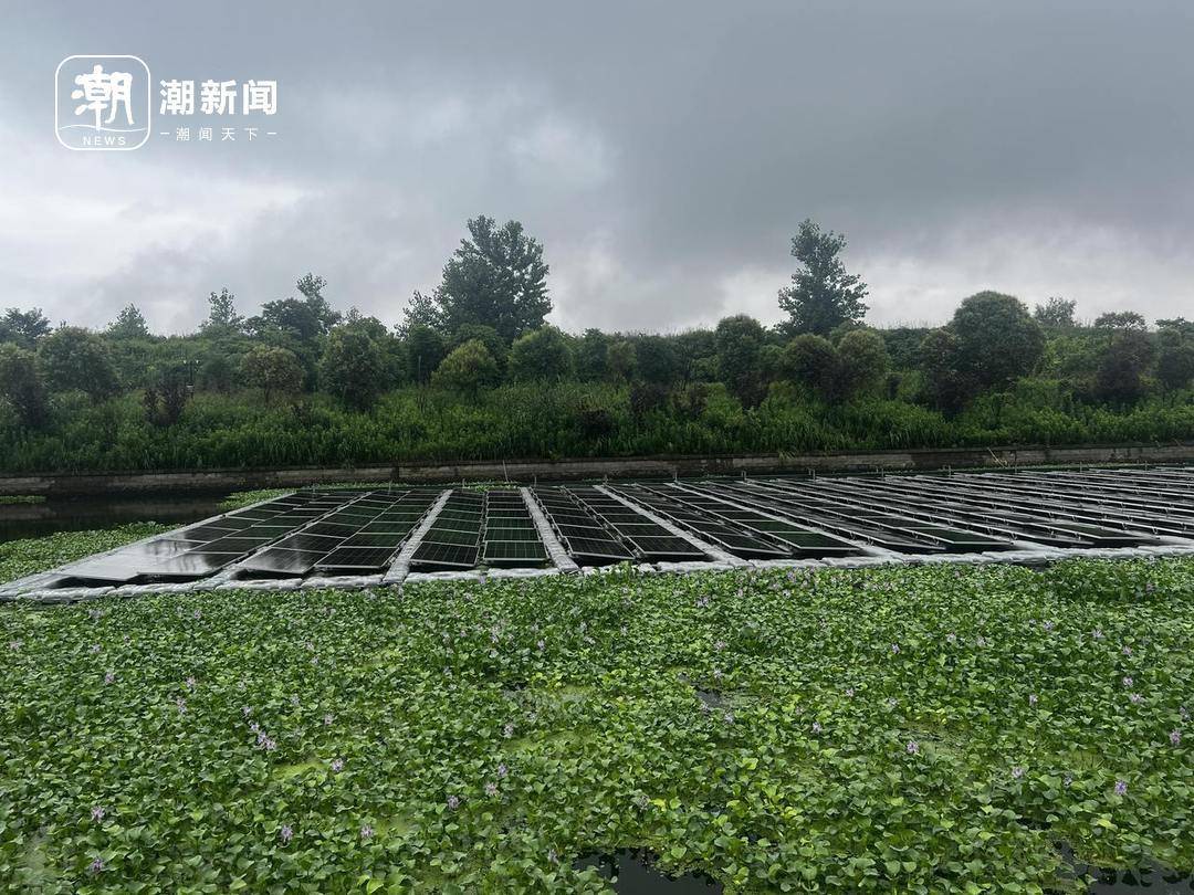 海宁尖山新区河道里建光伏项目:行洪安全如何保障 各方回应(图2) 文章配图-1
