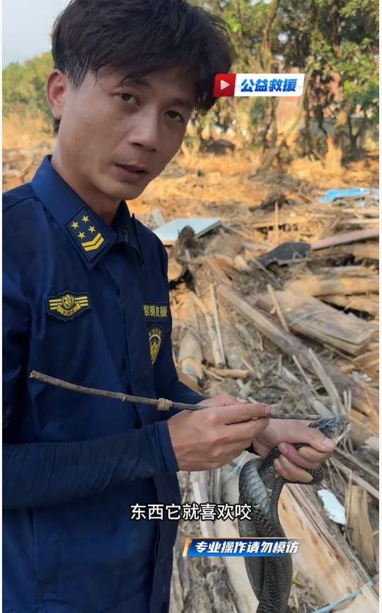 男子在广西横州徒手抓毒蛇近半个月，当事人：曾被无毒水律蛇咬伤
