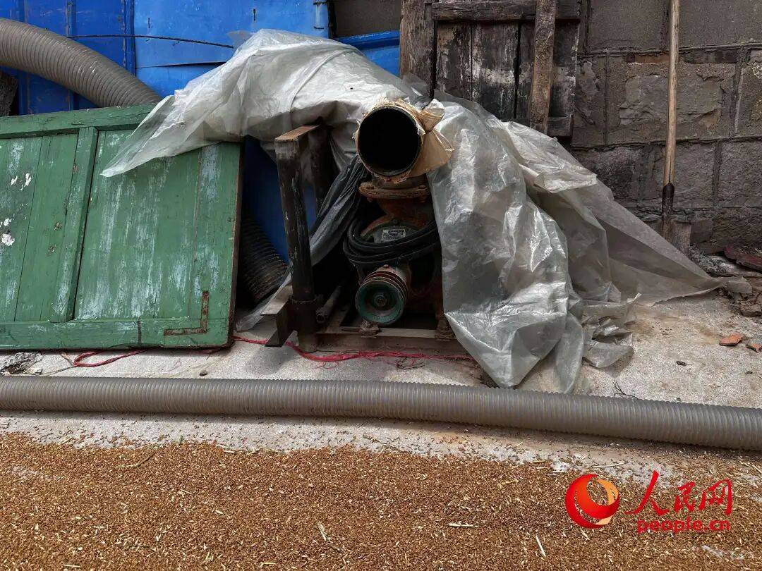 山东利津:验收过关的6000亩灌溉项目沦为摆设 为何纸面惠民(图4) 文章配图-1