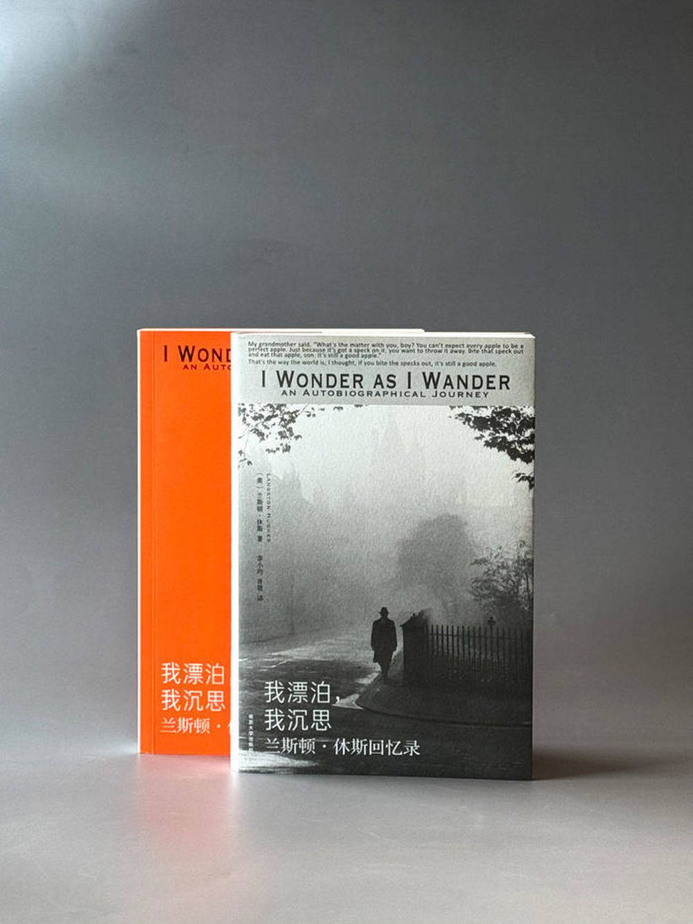 《我漂泊，我沉思》：20世纪30年代那个怪诞又令人振奋的世界丨新书