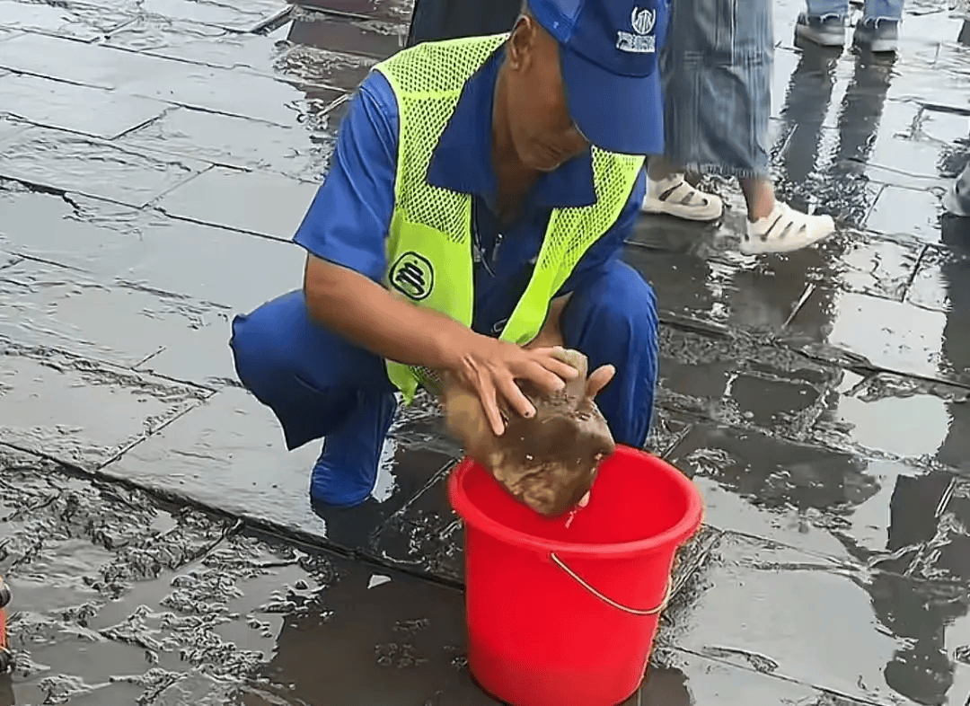 天坛保洁雨中用海绵吸水打扫地面，工作人员回复称保护古代金砖，金砖为啥如此特殊？有什么更好的办法清洁吗？