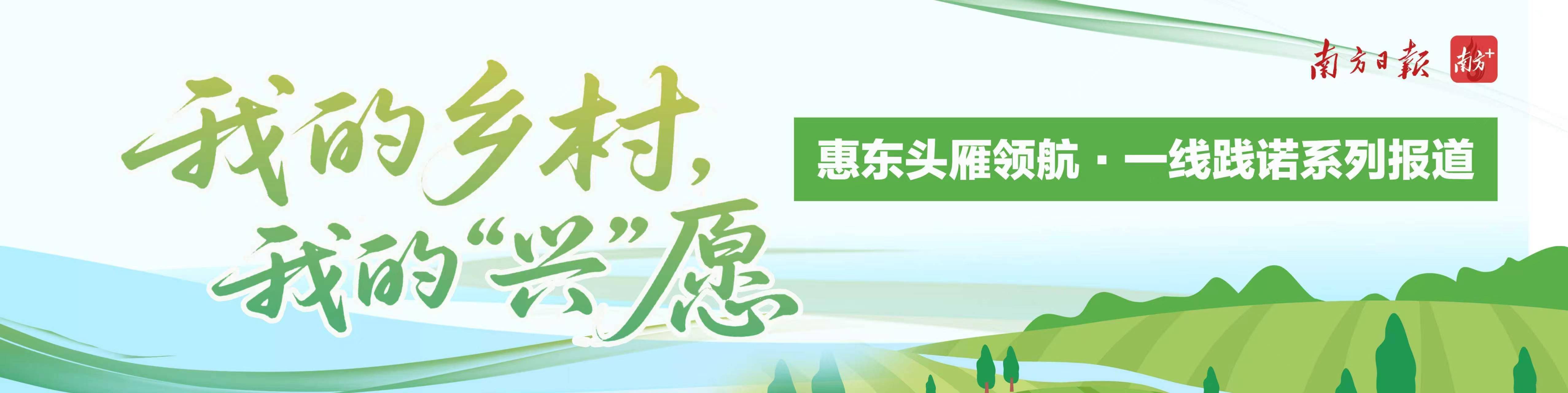 “海上漂来”的渔村，有了蓬勃向上的烟火气｜我的乡村，我的“兴”愿⑤