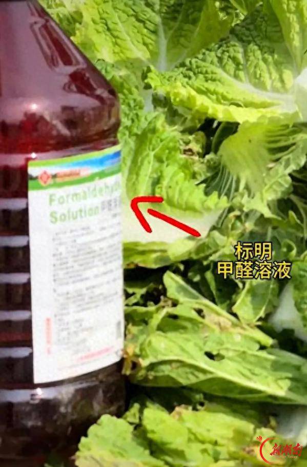 多地已紧急排查 “甲醛白菜” 流向！专家：这样的白菜千万别买→