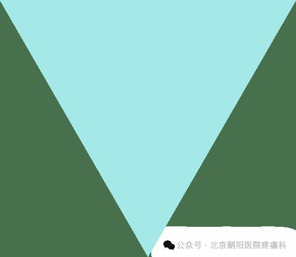 【朝医科普】科学腰背肌功能锻炼 筑牢腰椎“防护墙”