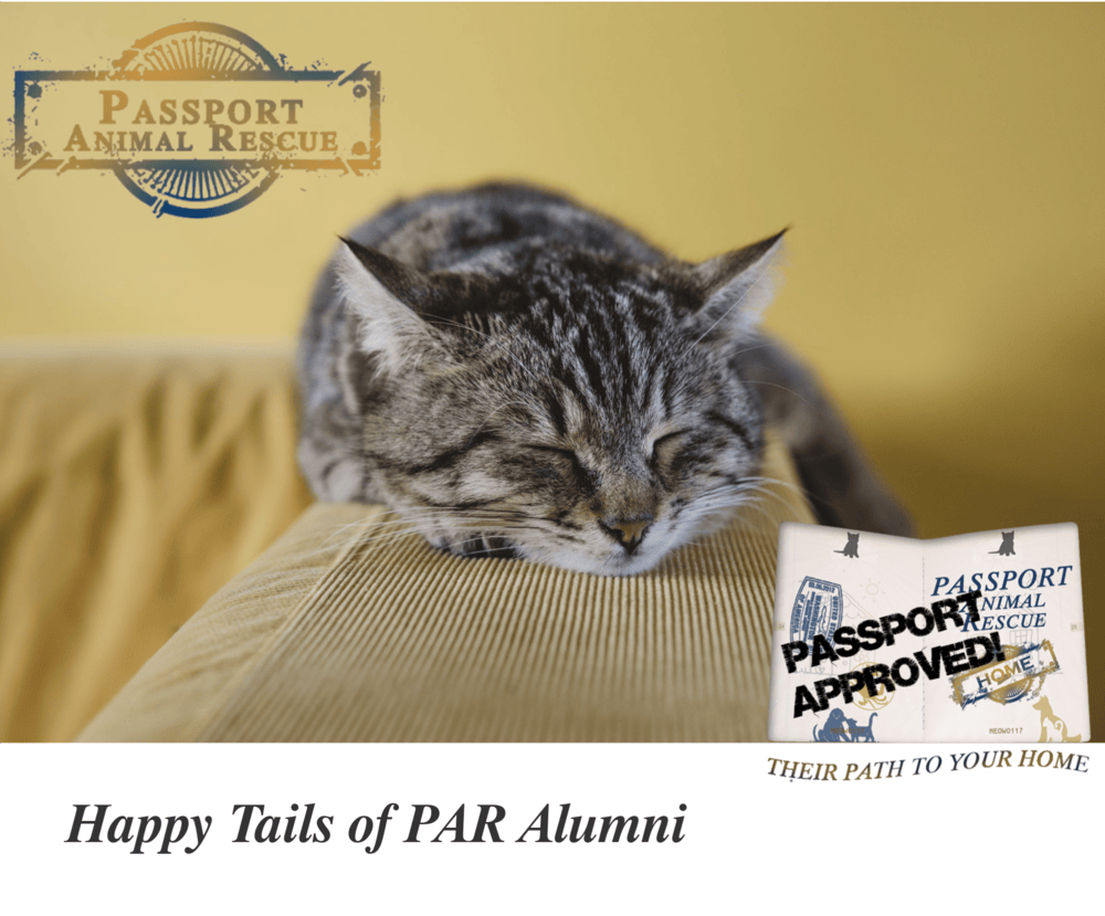 特朗普的撤销申请庇护外国公民签证计划究竟是怎么回事？