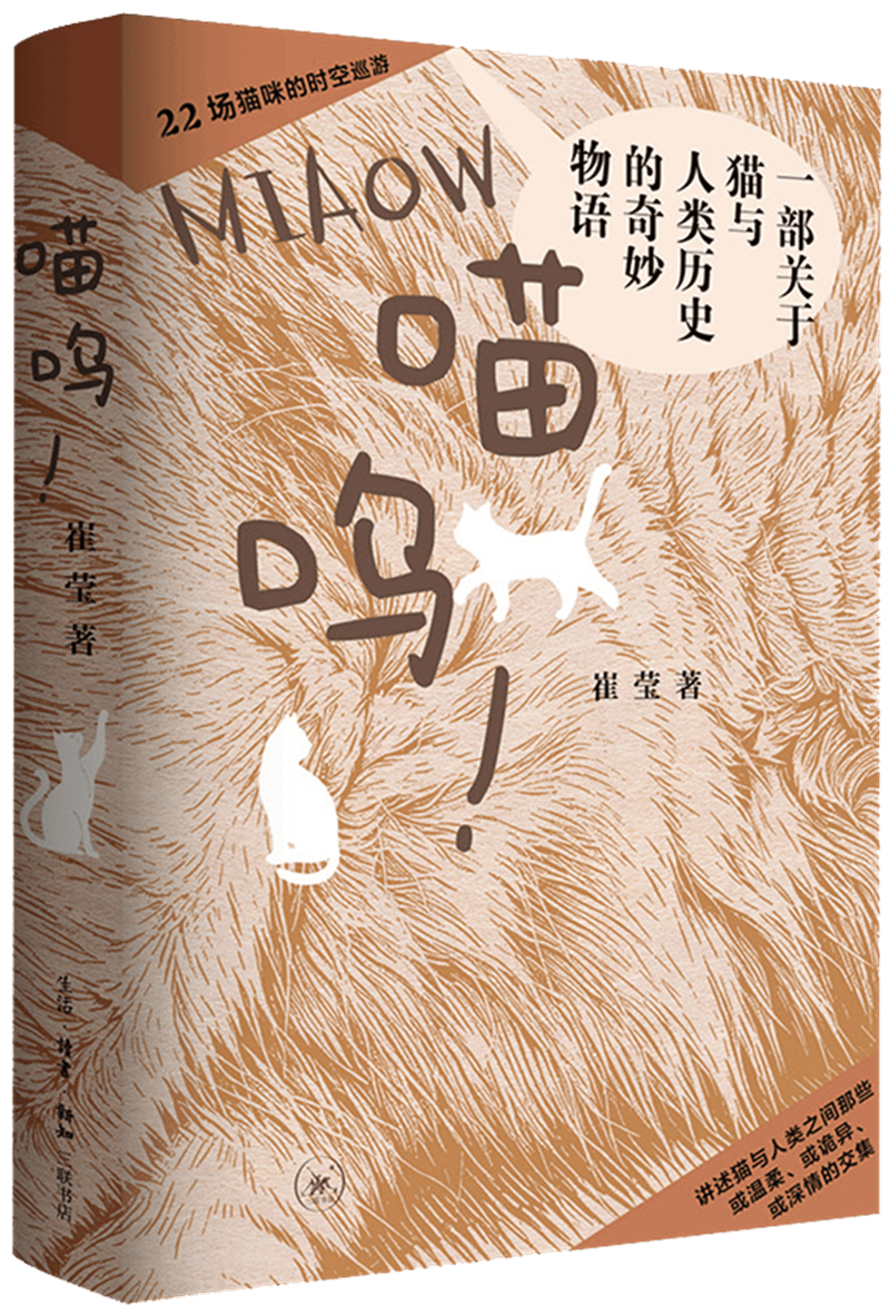 猫与人类之间或温柔、或诡异、或深情的交集
