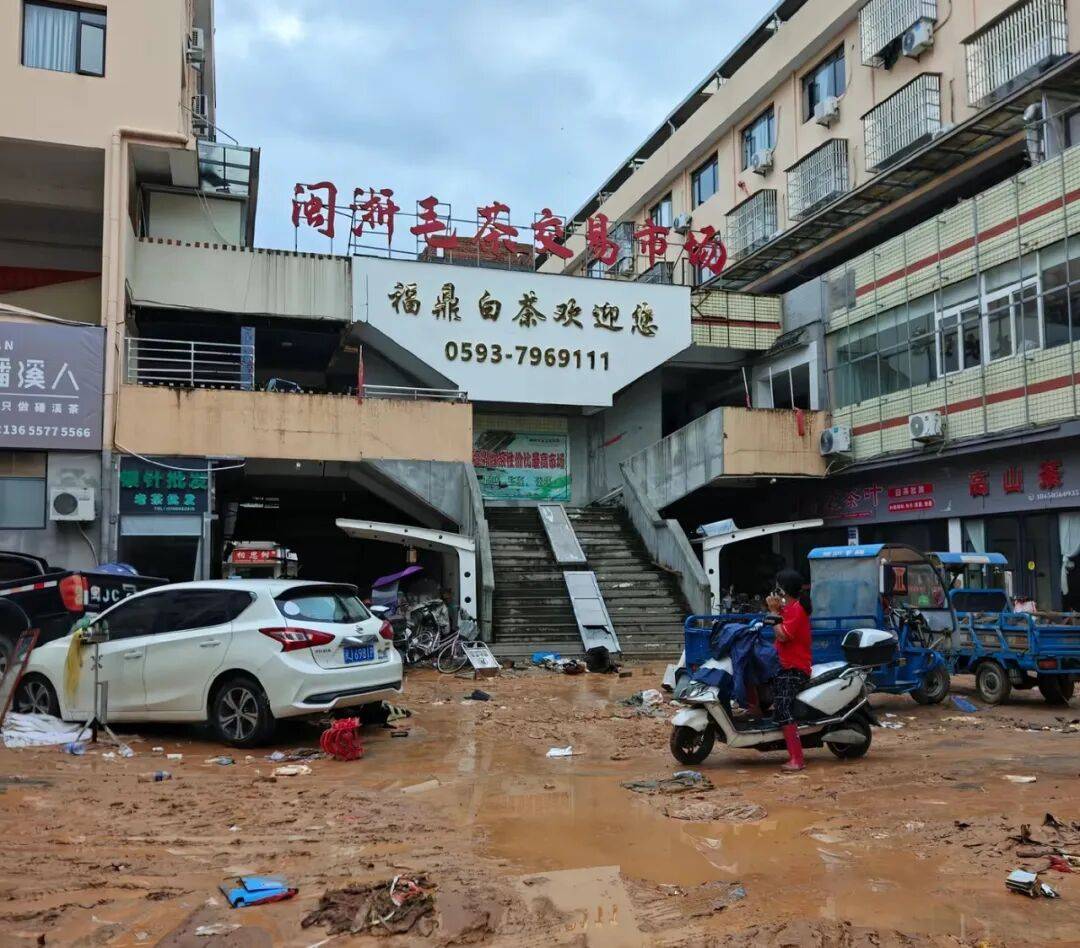 “茶叶都泡了水”，洪水侵袭“中国白茶第一镇”，茶商：绝不让问题茶流入市场