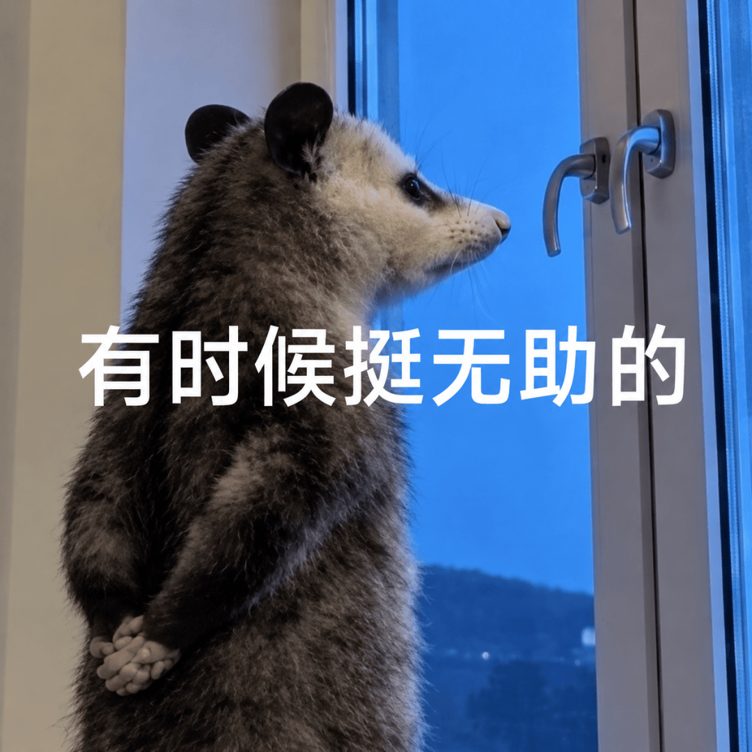 文章配图-2