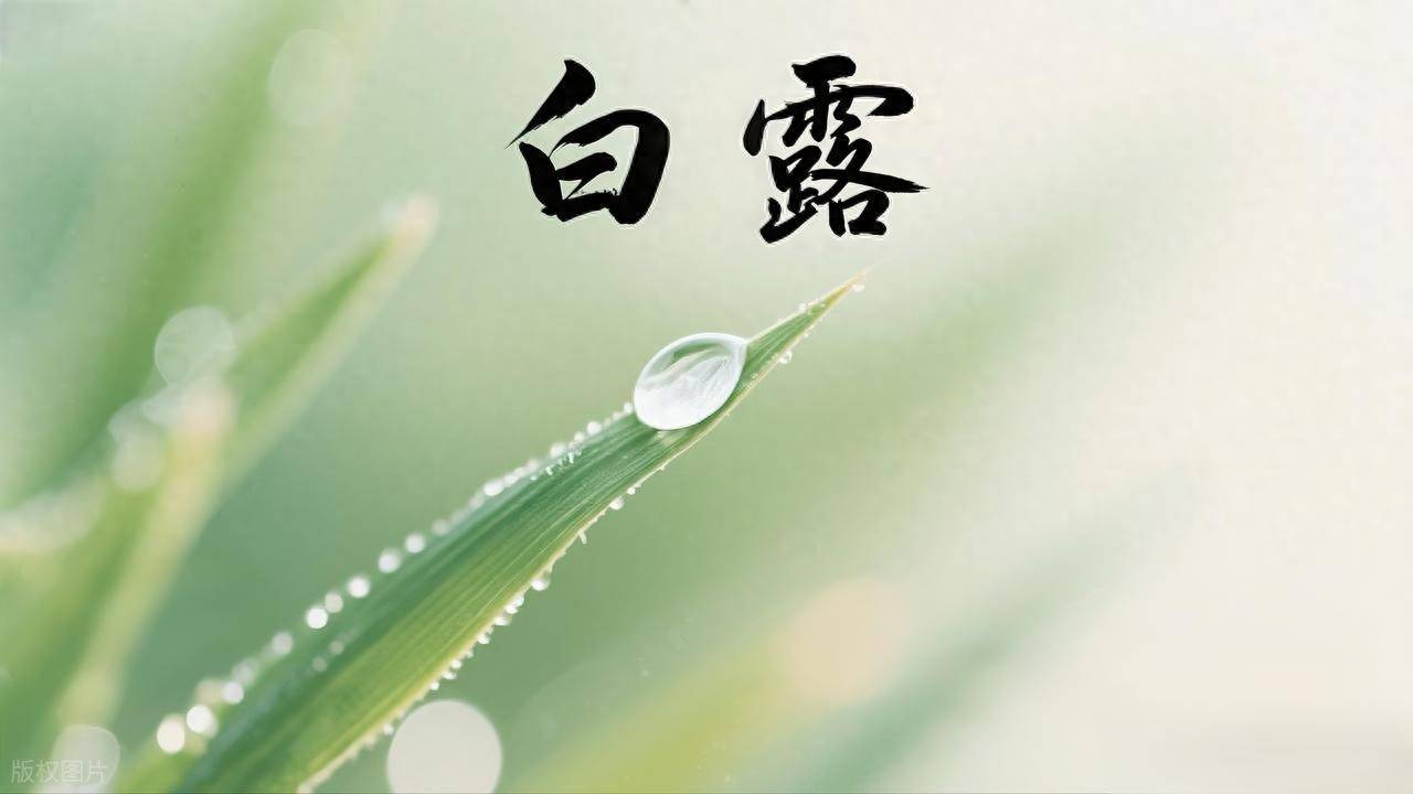 白露过后，强烈建议中老年：早餐换成这5样，元气满满一整天！
