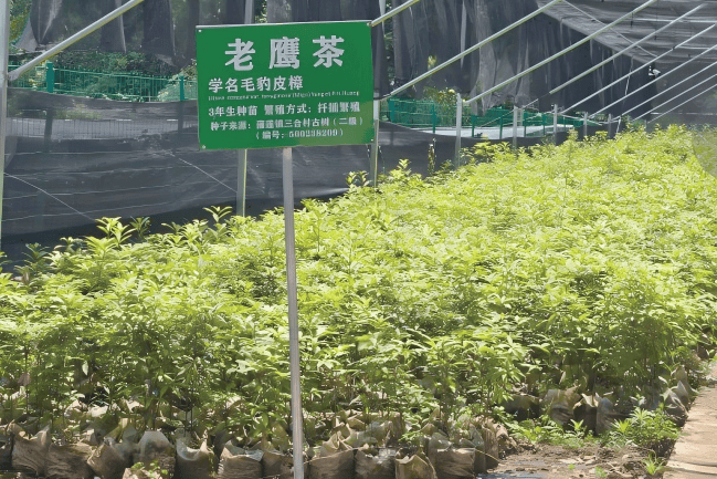 文章配圖-1