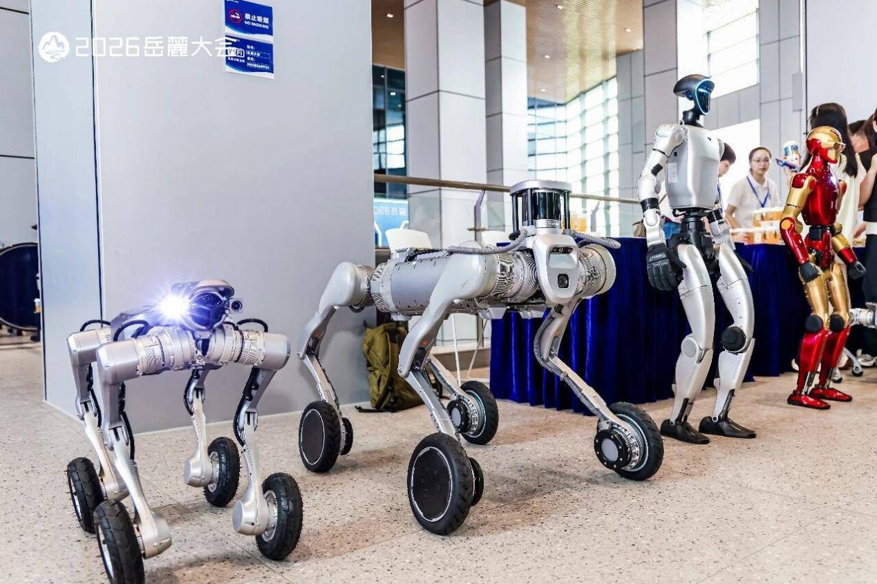 别人抢算力,湖南 AI 抢什么? 别人抢算力,湖南 AI 抢什么?
