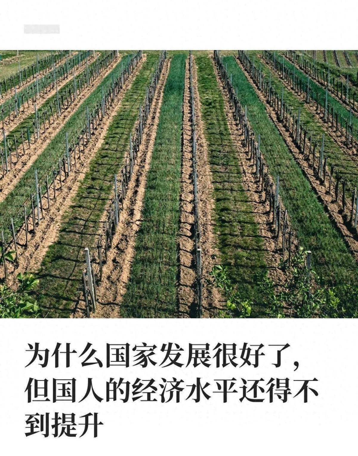 文章配图-5
