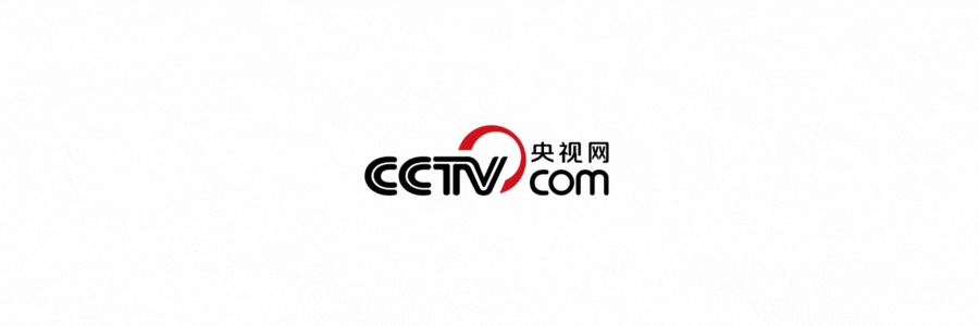 郑钦文因伤退赛