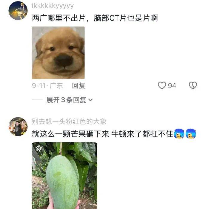 果然南方只有人小，其他什么都大！[11P]