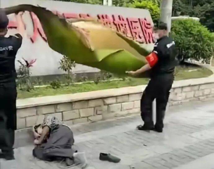 果然南方只有人小，其他什么都大！[11P]
