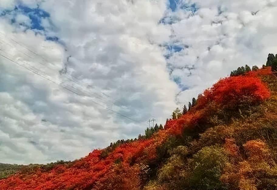 文章配图-1