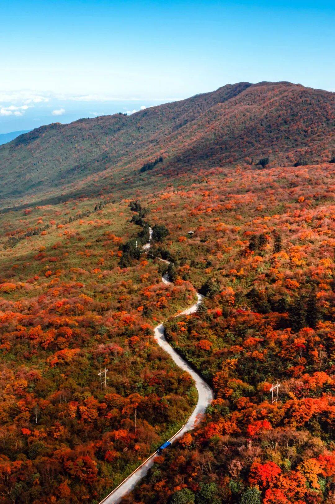 峨眉山秋景即将达到巅峰，还有秋季徒步限定奖牌等你来挑战(图4)